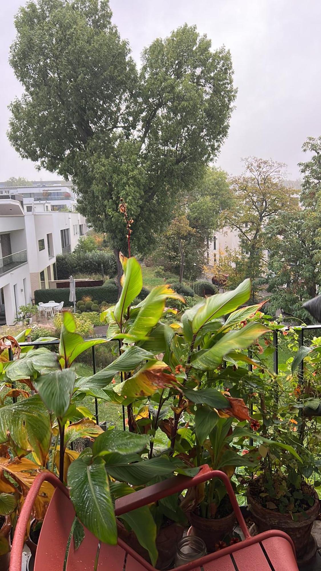Barbarossa Suite Erfurt Exteriör bild